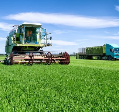 Alfalfa harvest in the field