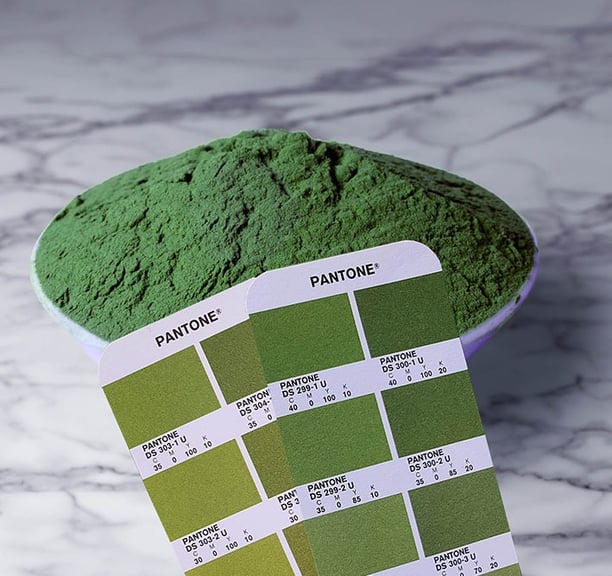 Barley leaf green powder- Pantone swatch