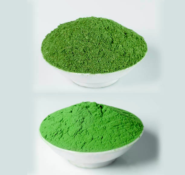 2 bowl of green powdered different grades