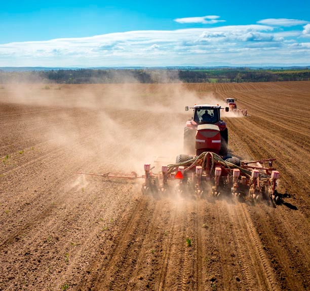 wheat soil preperation Yg2alQPJv1fZ0qrL