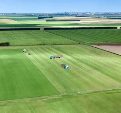 barley leaf farm from the air